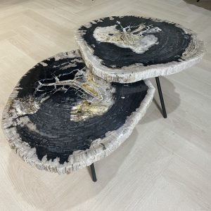 Couchtisch aus versteinertem Holz