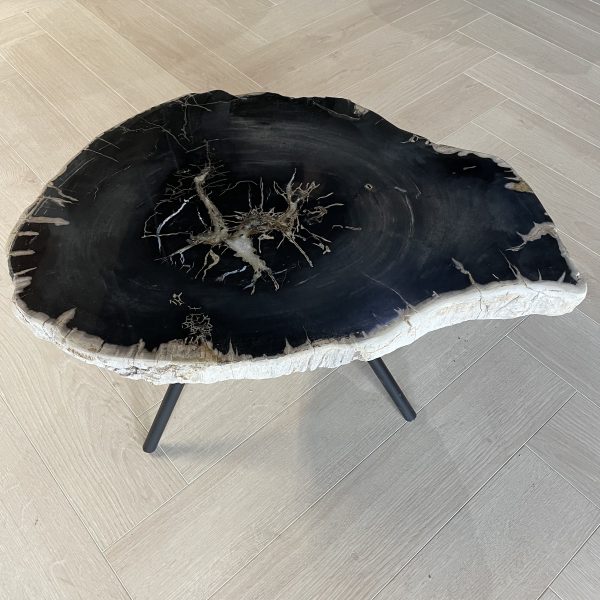 Couchtisch aus versteinertem Holz