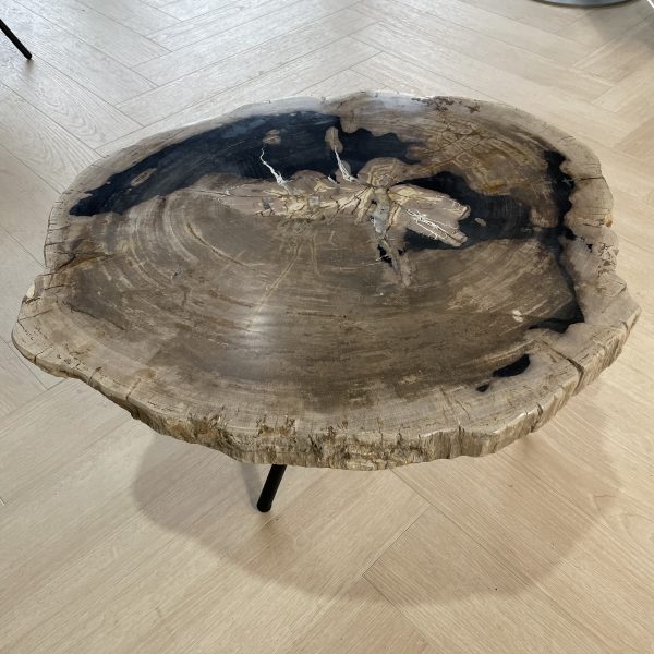 Couchtisch aus versteinertem Holz