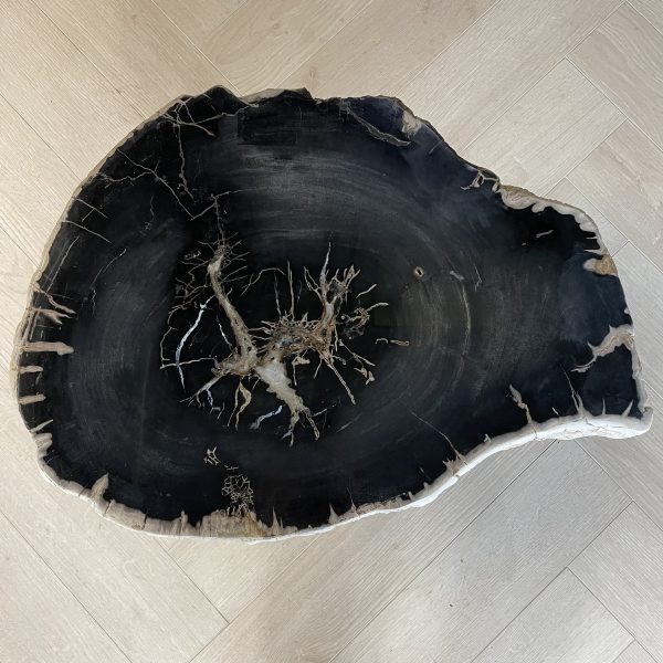 Couchtisch aus versteinertem Holz