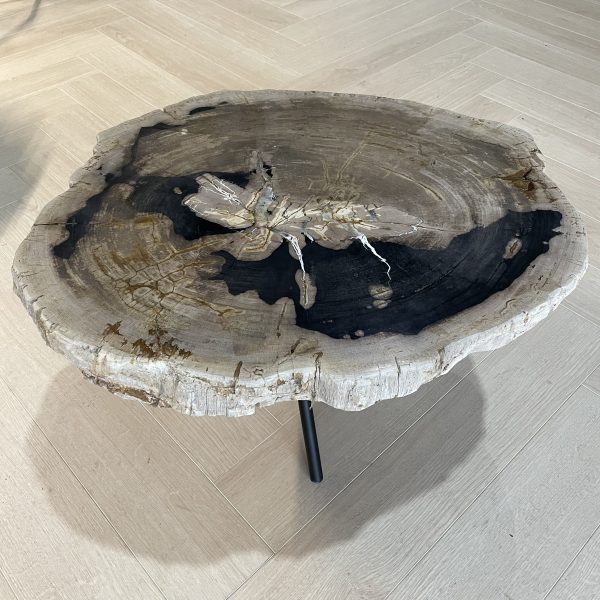 Couchtisch aus versteinertem Holz