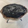 Versteend hout salontafel