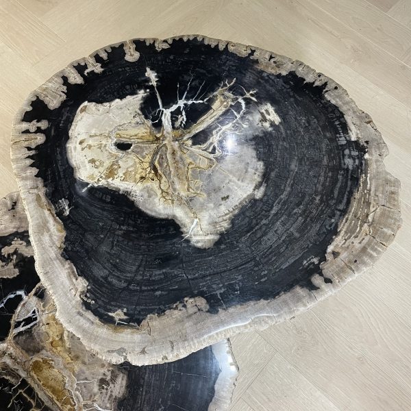 Couchtisch aus versteinertem Holz