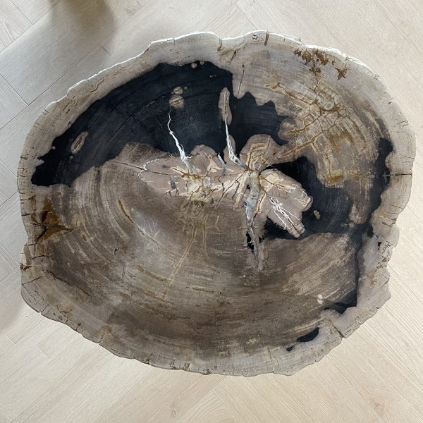 Couchtisch aus versteinertem Holz