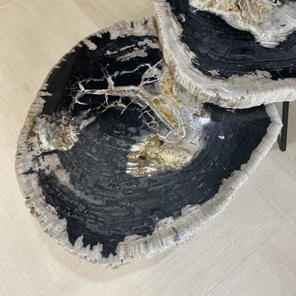 Tisch versteinertes Holz