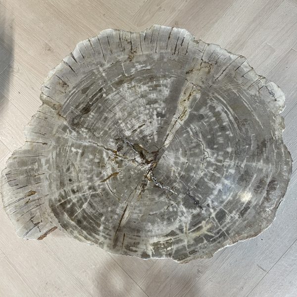 Couchtisch aus versteinertem Holz