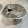 Tafel versteend hout