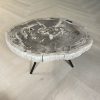 Versteend hout salontafel
