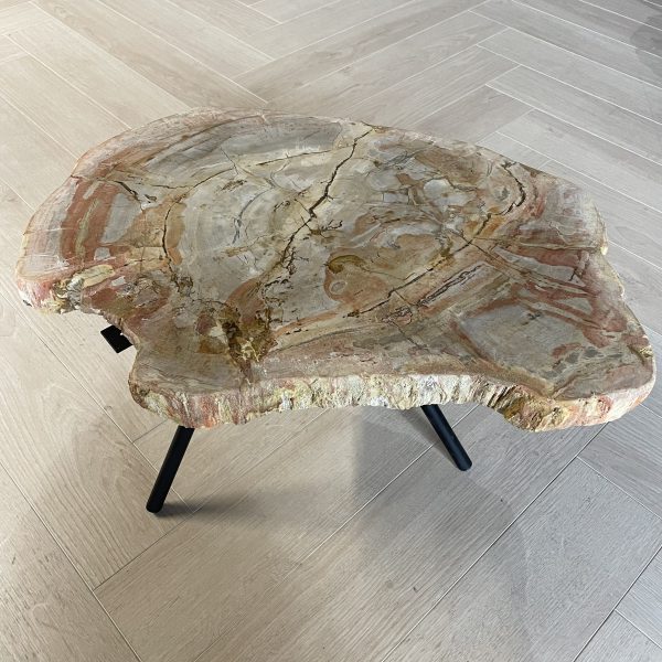 Versteend hout salontafel