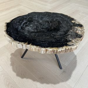 Versteend hout salontafel