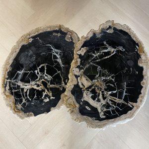 Versteend hout salontafel