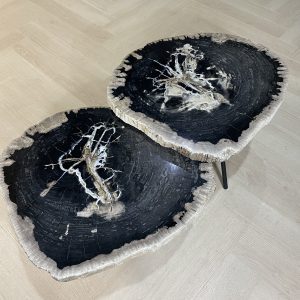 Versteend hout salontafel