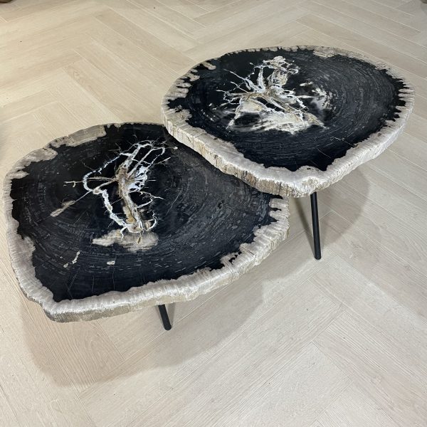 Versteend hout salontafel