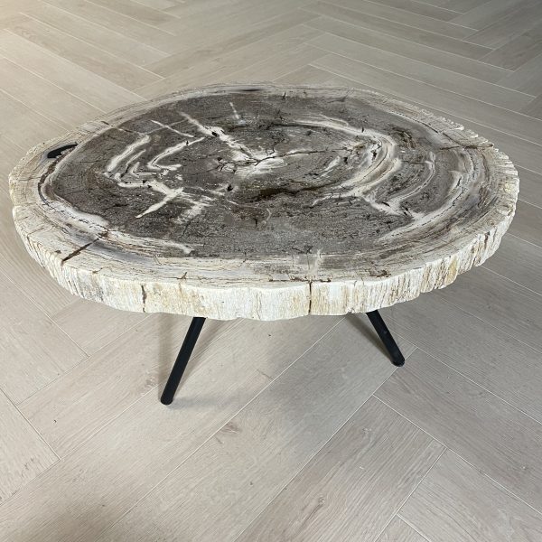 Couchtisch aus versteinertem Holz
