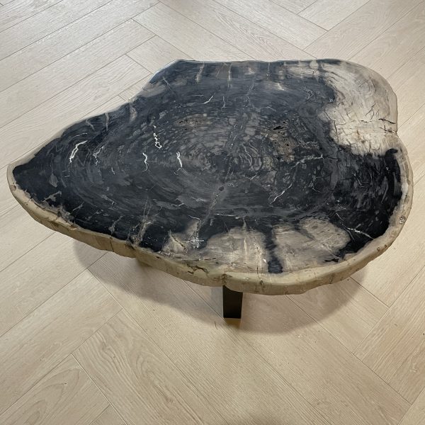 Couchtisch aus versteinertem Holz