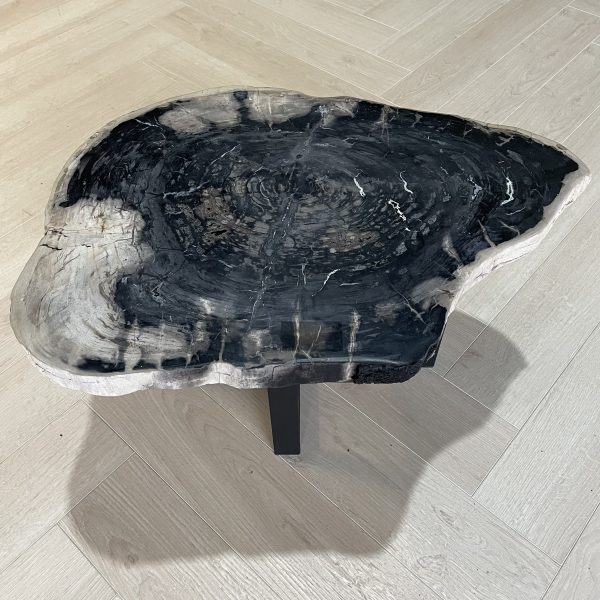 Couchtisch aus versteinertem Holz