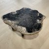 Versteend hout salontafel