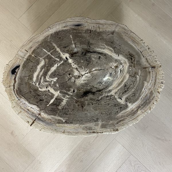 Couchtisch aus versteinertem Holz