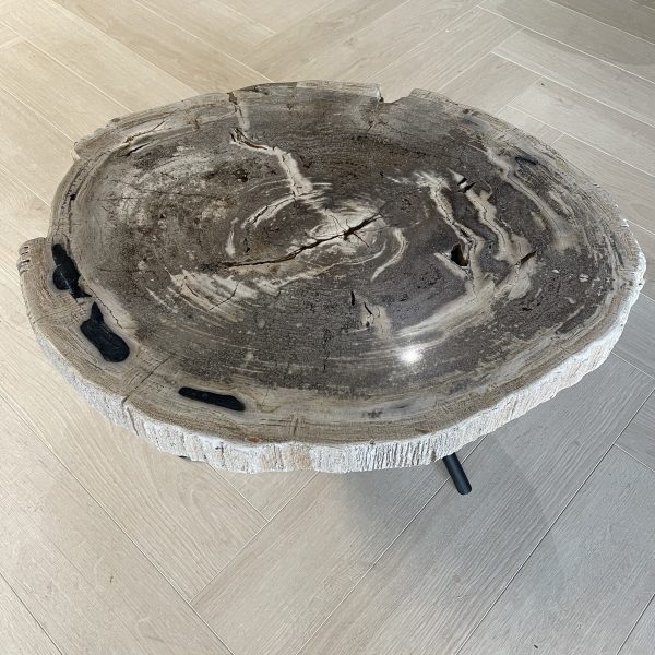 Couchtisch aus versteinertem Holz
