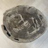 Couchtisch aus versteinertem Holz