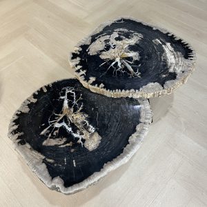 Versteend hout salontafel