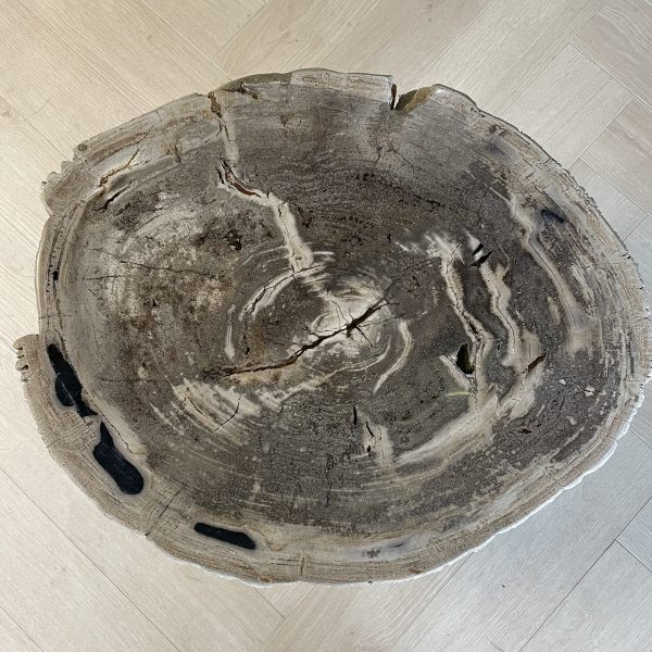 Couchtisch aus versteinertem Holz