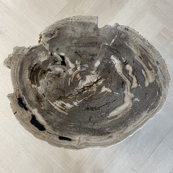 Couchtisch aus versteinertem Holz