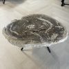 Tisch versteinertes Holz