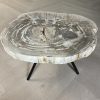 Versteend hout salontafel