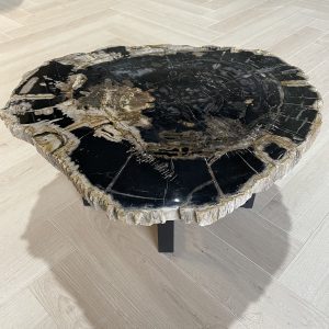 Versteend hout salontafel