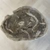 Couchtisch aus versteinertem Holz
