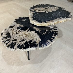 Versteend hout salontafel
