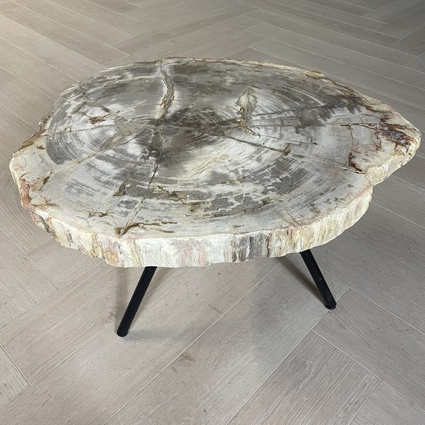 Versteend hout salontafel