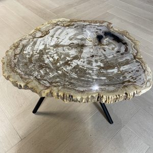 Versteend hout salontafel