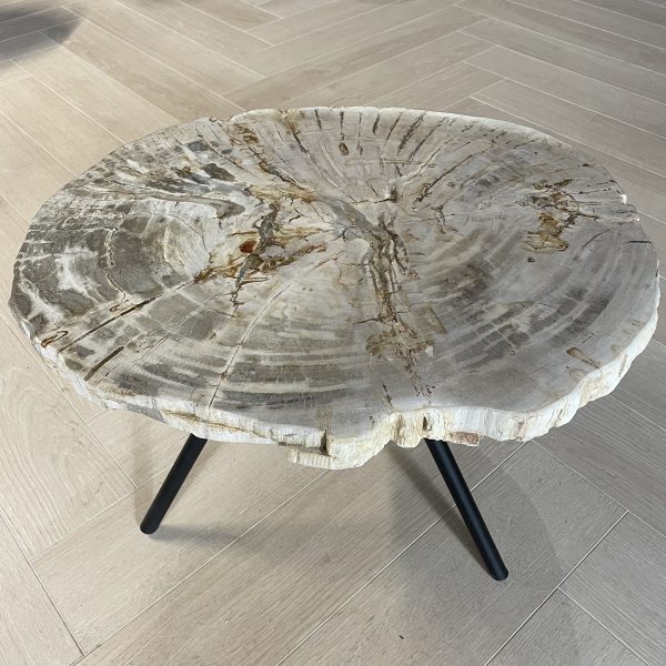Versteend hout salontafel