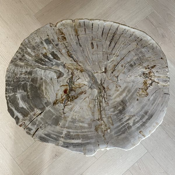 Versteend hout salontafel