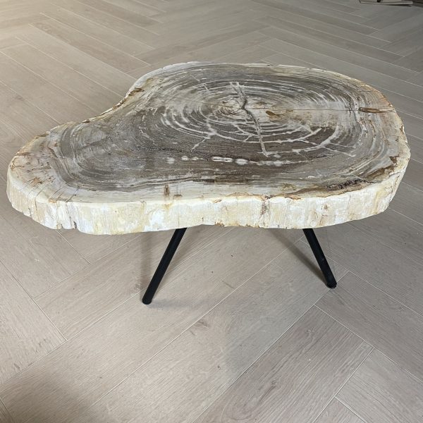 Versteend hout salontafel