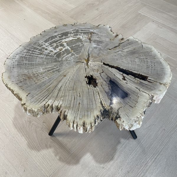 Versteend hout salontafel