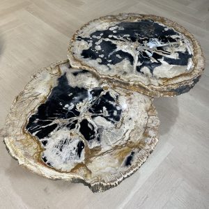 Versteend hout salontafel