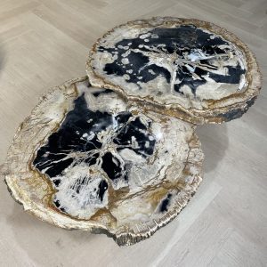 Tische aus versteinertem Holz