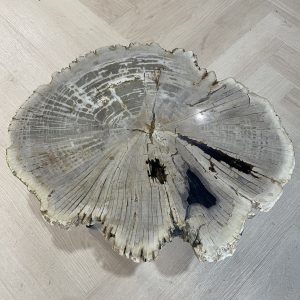 Versteend hout salontafel