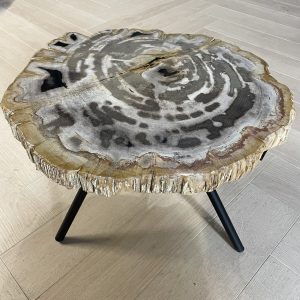 Versteend hout salontafel