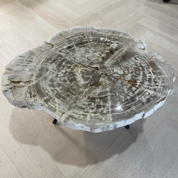 Couchtisch aus versteinertem Holz