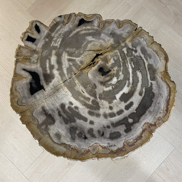 Versteend hout salontafel
