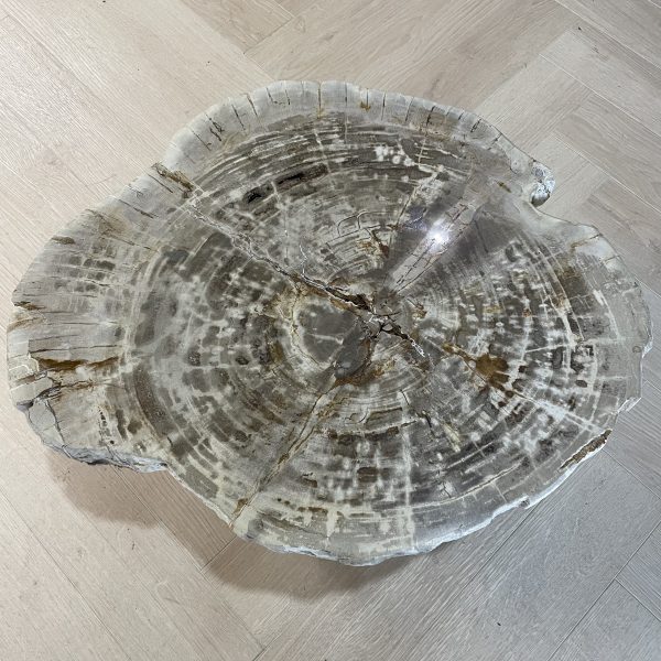 Couchtisch aus versteinertem Holz