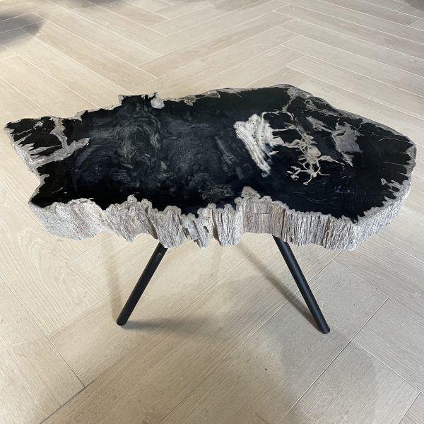 Versteend hout salontafel