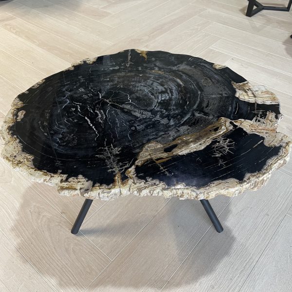 Versteend hout salontafel
