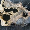 Versteend hout salontafel