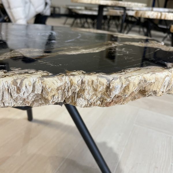 Versteend hout salontafel