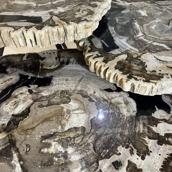 Couchtisch aus versteinertem Holz